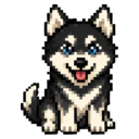 your dog